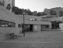 SMASSA
